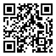 迅风DNS二级域名分发程序开心版