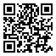 SEO快排网站模板 大气的IT网络软件公司网站源码